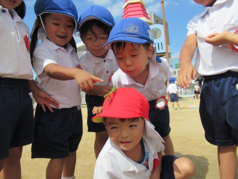 グランド遊び